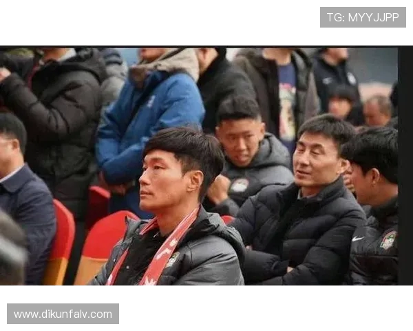 重庆排球队心理素质引发热议球迷对表现和压力应对能力的不同看法