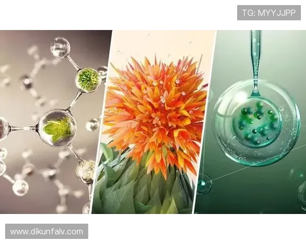 专访吴伟：深入探讨网球界的成功秘诀与个人成长之路